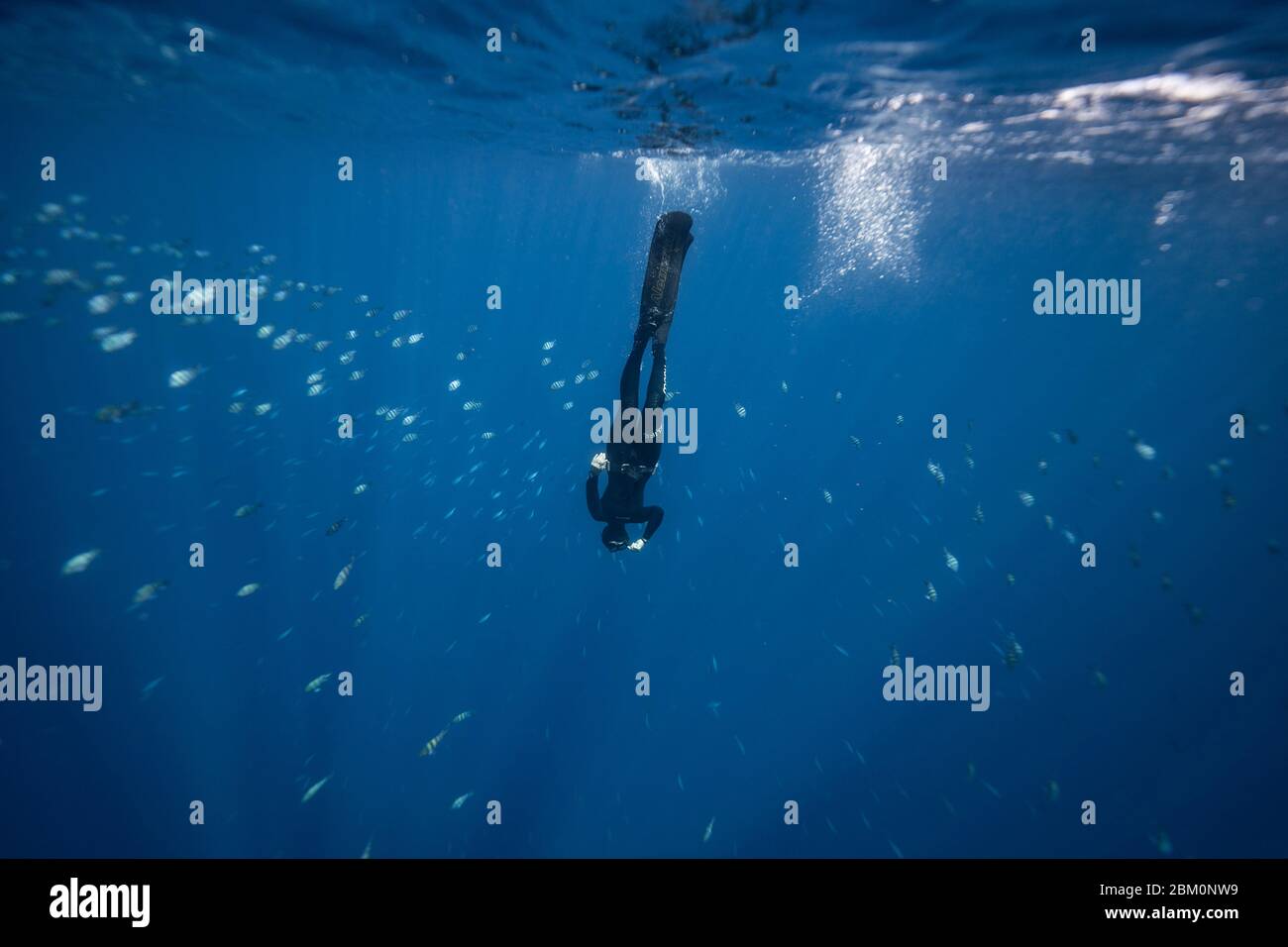Ragazza Freediving a Blue Hole Dahab - Egitto Foto Stock