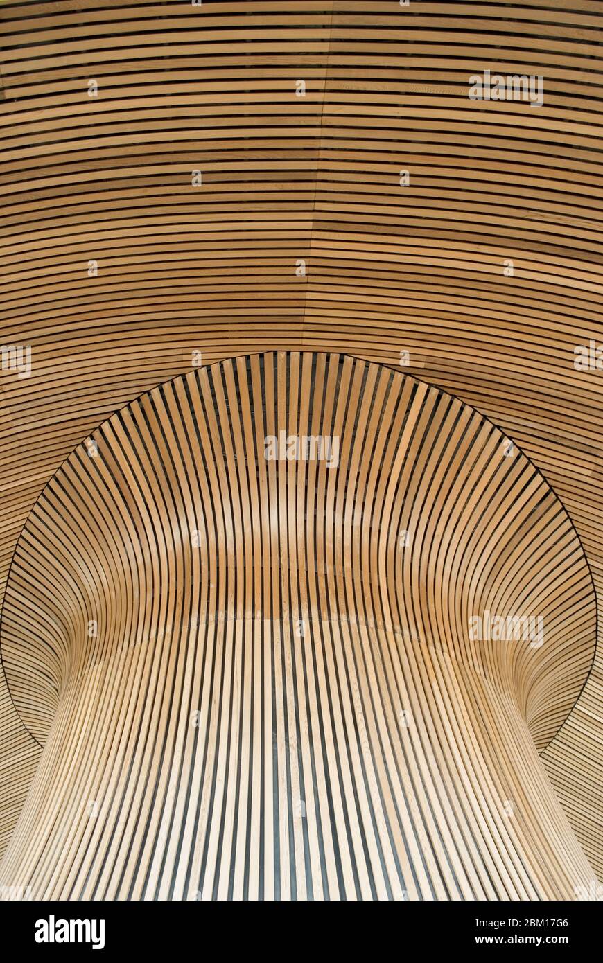 Centro artistico di sviluppo Slate Copper Wales Millennium Centre, Bute Place, Cardiff CF10 5AL di Percy Thomas Partnership Jonathan Adams Foto Stock