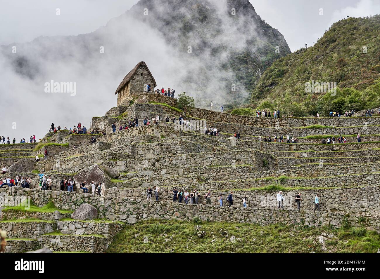Machu Picchu terrazze nella nebbia mattutina Foto Stock