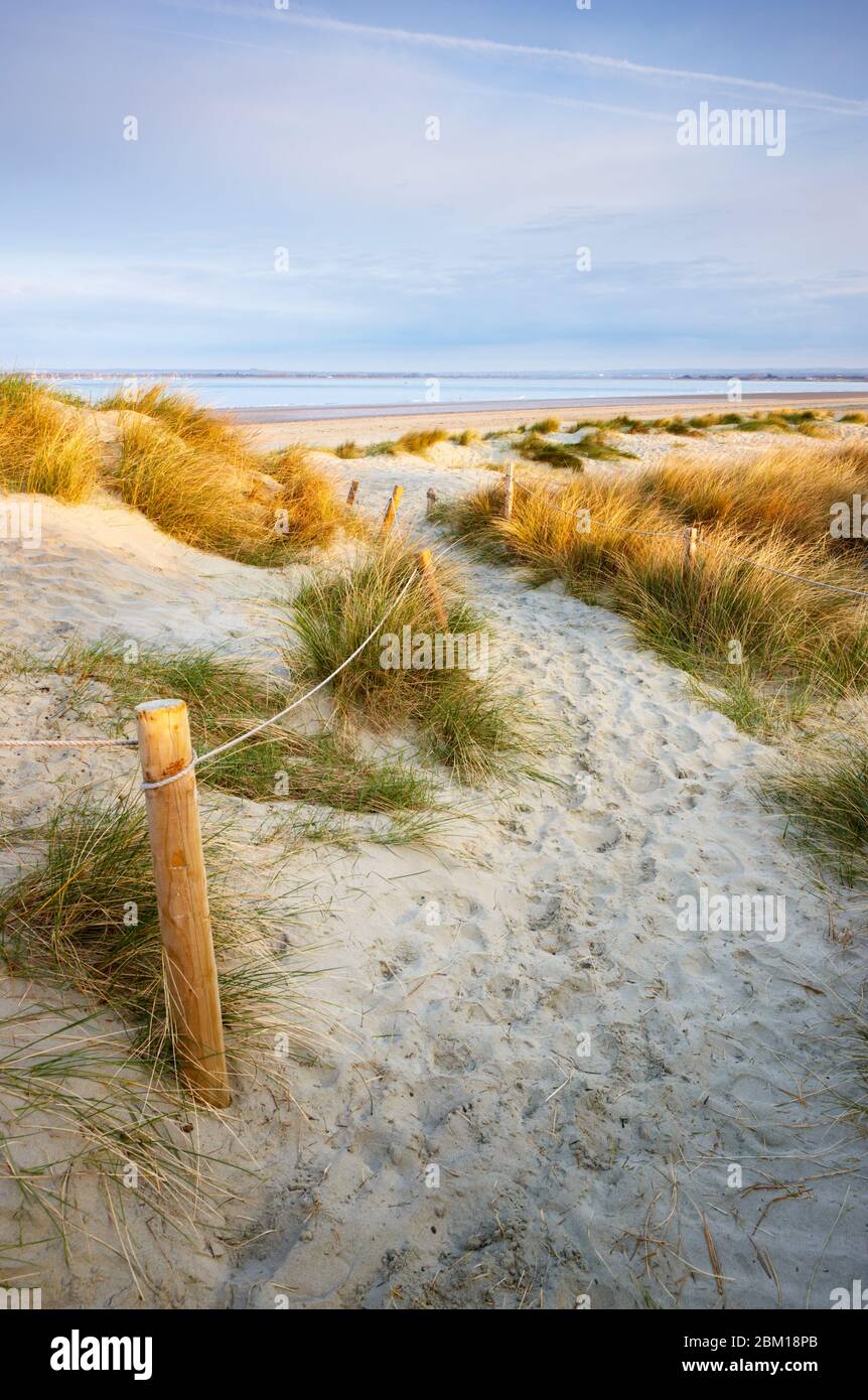 Un percorso che conduce attraverso il sistema delle dune a East Head, West Wittering Foto Stock