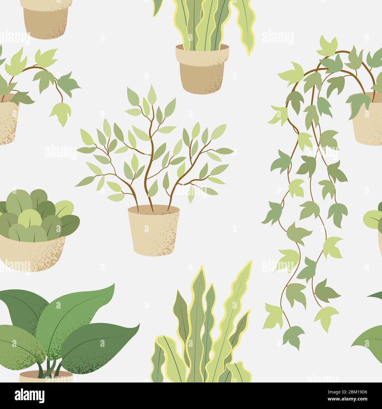 Veclor modello senza cuciture con piante interne su sfondo bianco Illustrazione Vettoriale