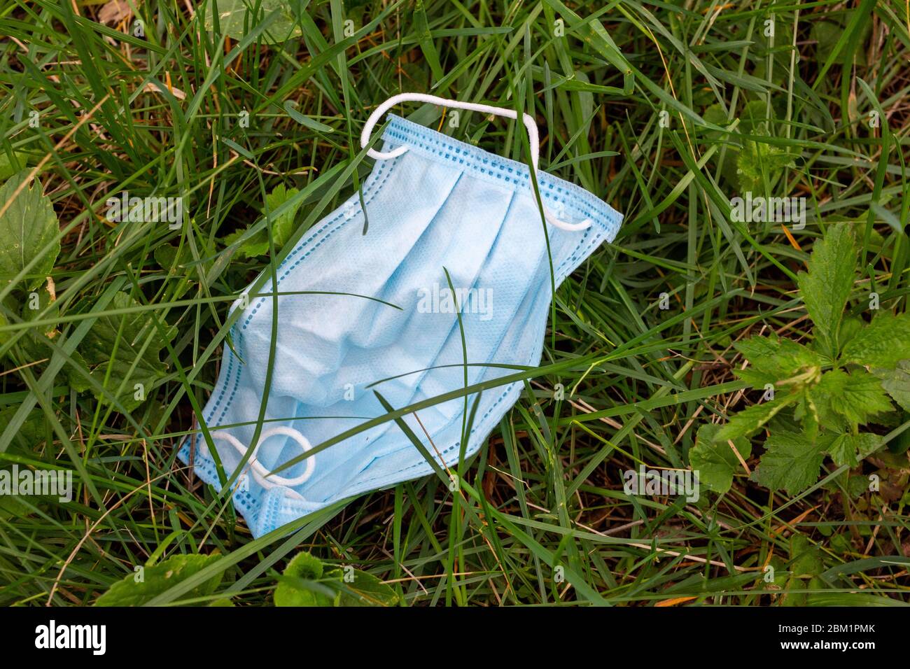 Maschera chirurgica usata scaricata sull'erba durante la pandemia di Covid-19. Maschera facciale scartata utilizzata per proteggere la diffusione del coronavirus che si trova intorno alla posa p Foto Stock