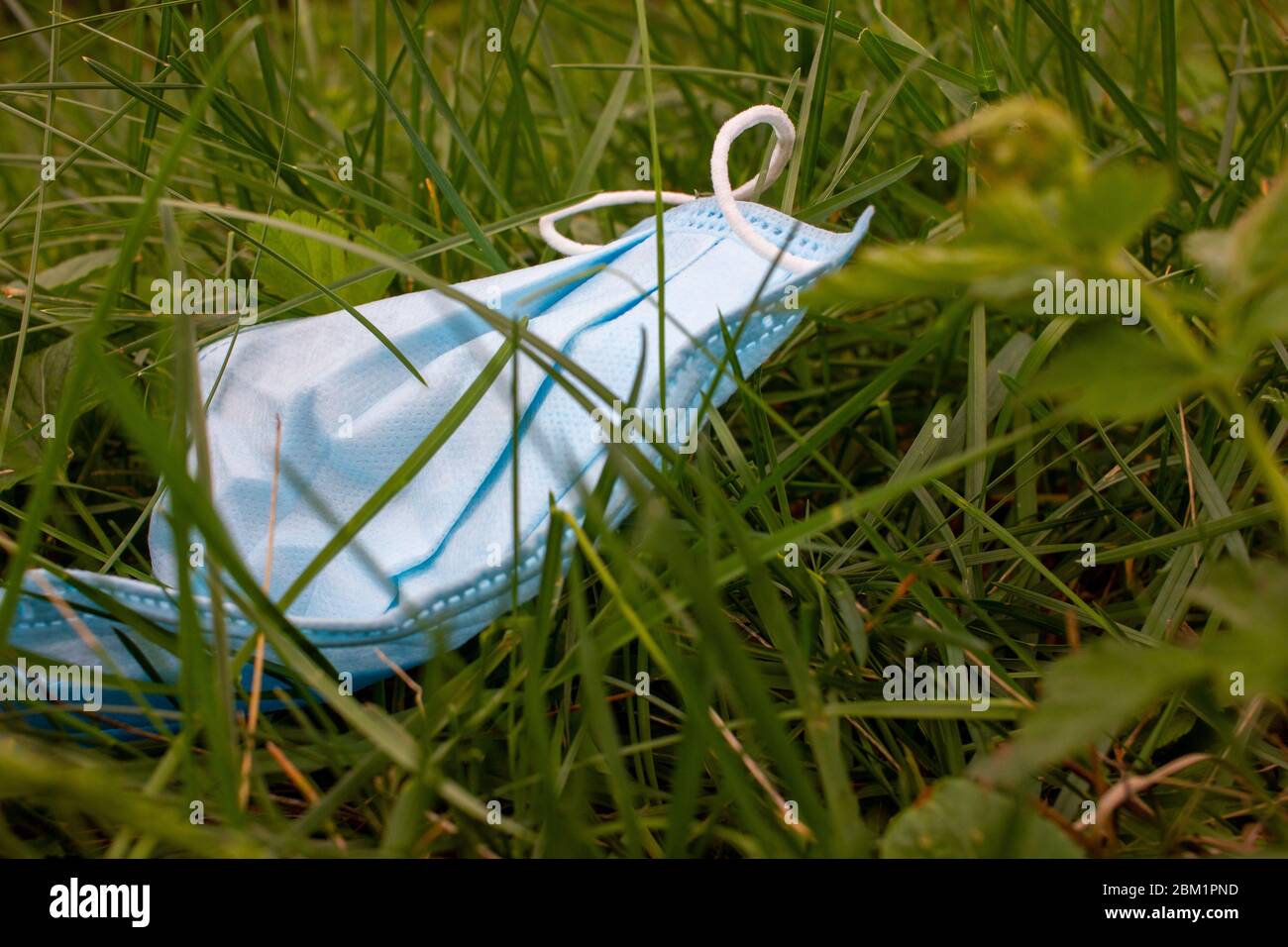 Maschera chirurgica usata scaricata sull'erba durante la pandemia di Covid-19. Maschera facciale scartata utilizzata per proteggere la diffusione del coronavirus che si trova intorno alla posa p Foto Stock