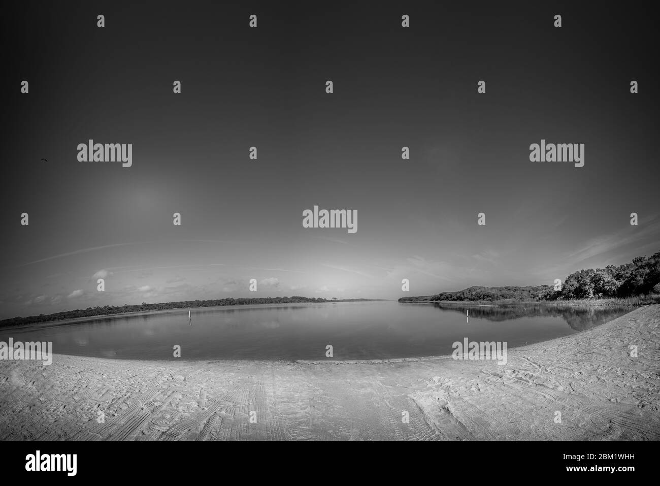 Bellissimo paesaggio invernale di Floridian Foto Stock