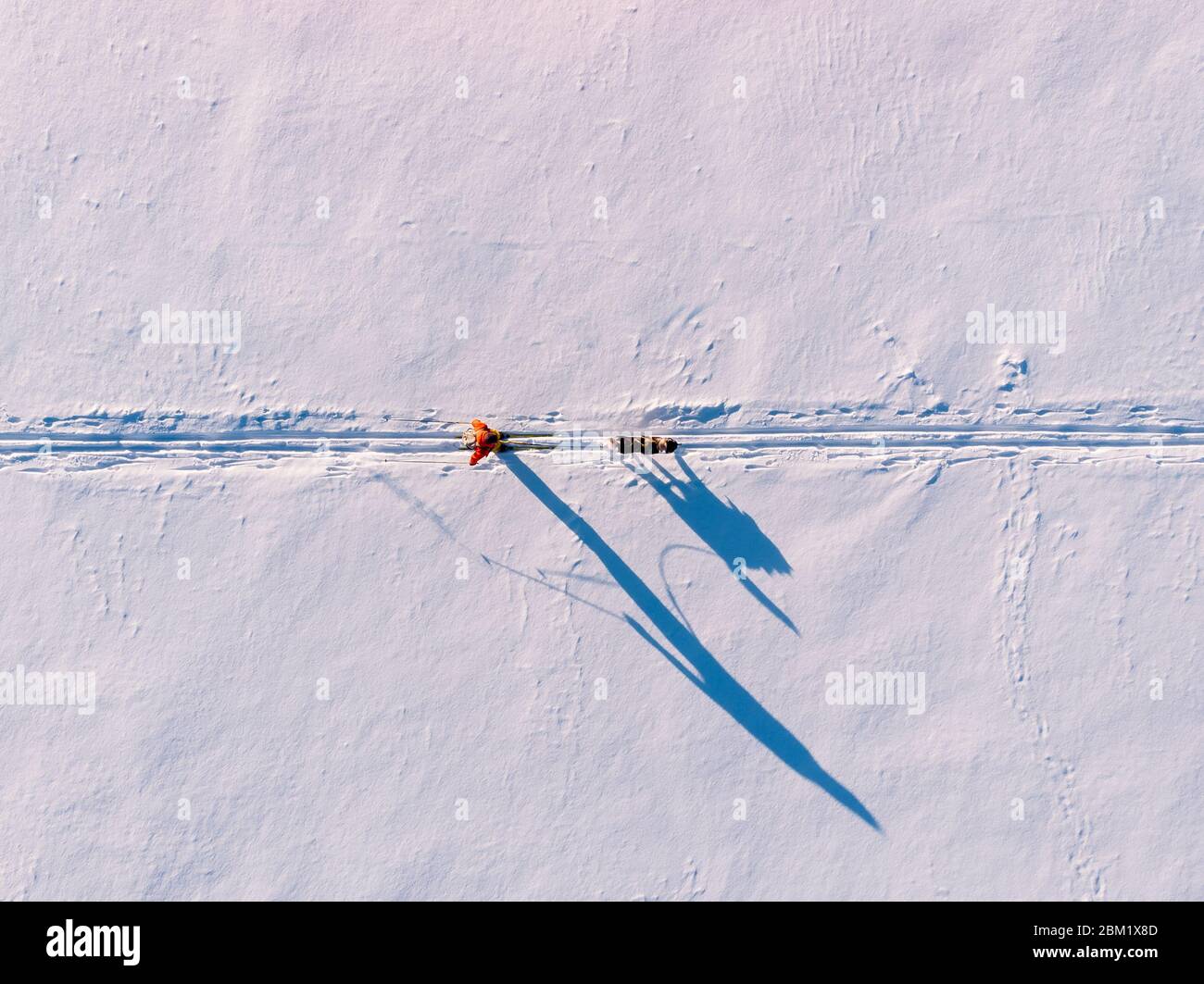 Skijor sciare in pista con malamute cane. Concetto di vacanza invernale. Vista dall'alto dell'antenna Foto Stock
