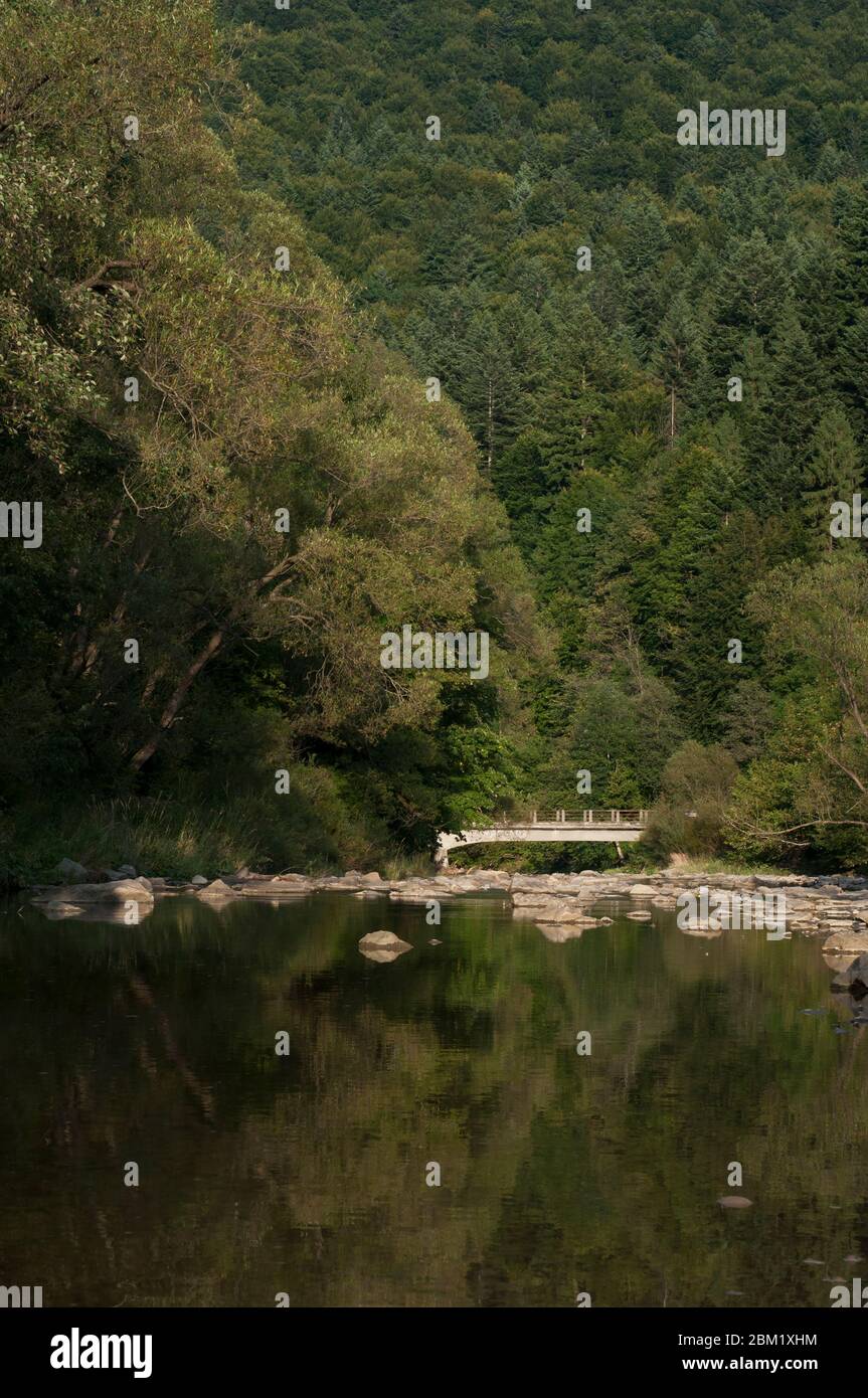 ponte in montagna polacca in estate riflesso nel fiume Foto Stock