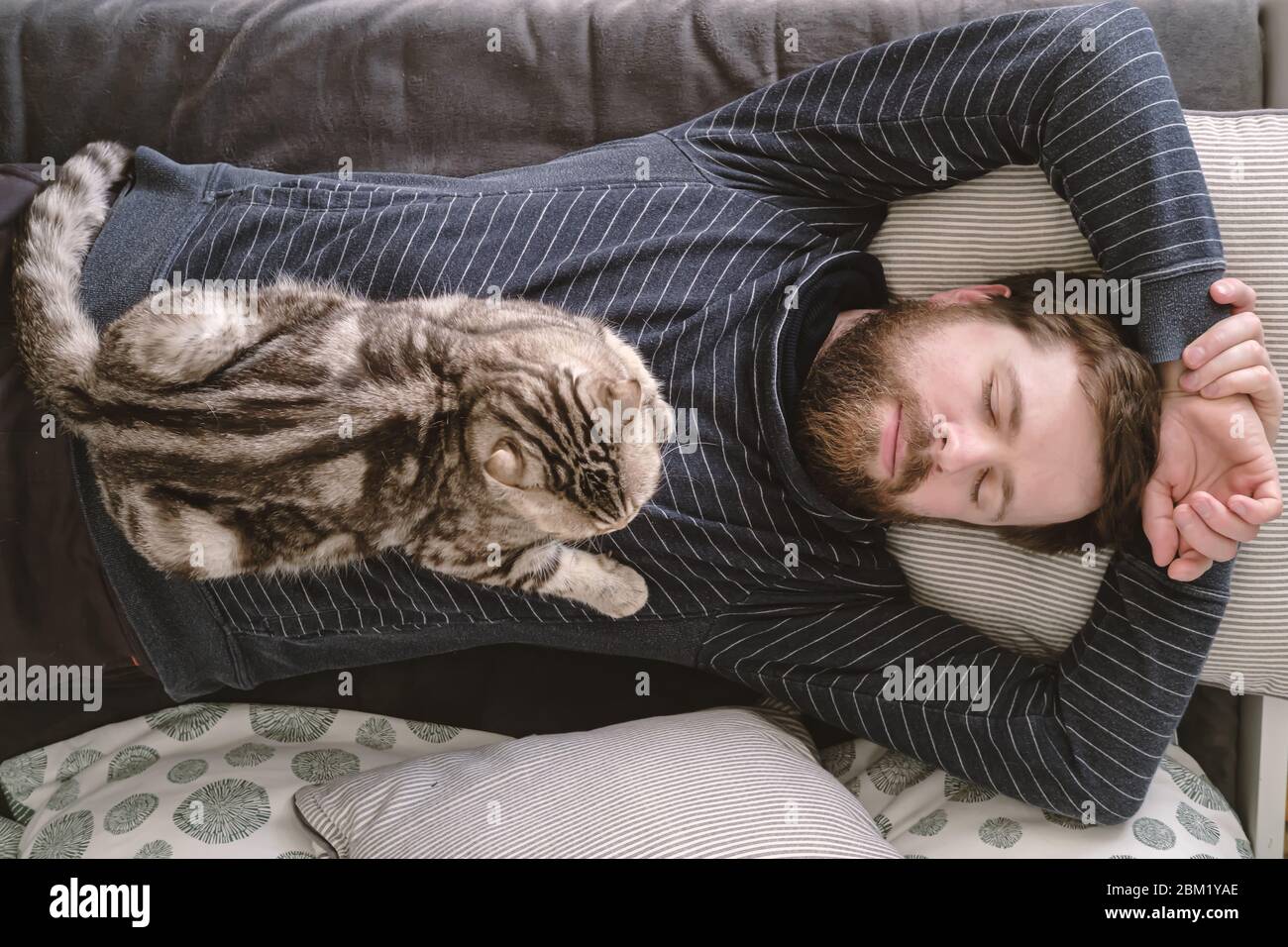 Attraente uomo caucasico dorme su un divano, e il suo affascinante gatto si  trova sul petto. Vista dall'alto Foto stock - Alamy