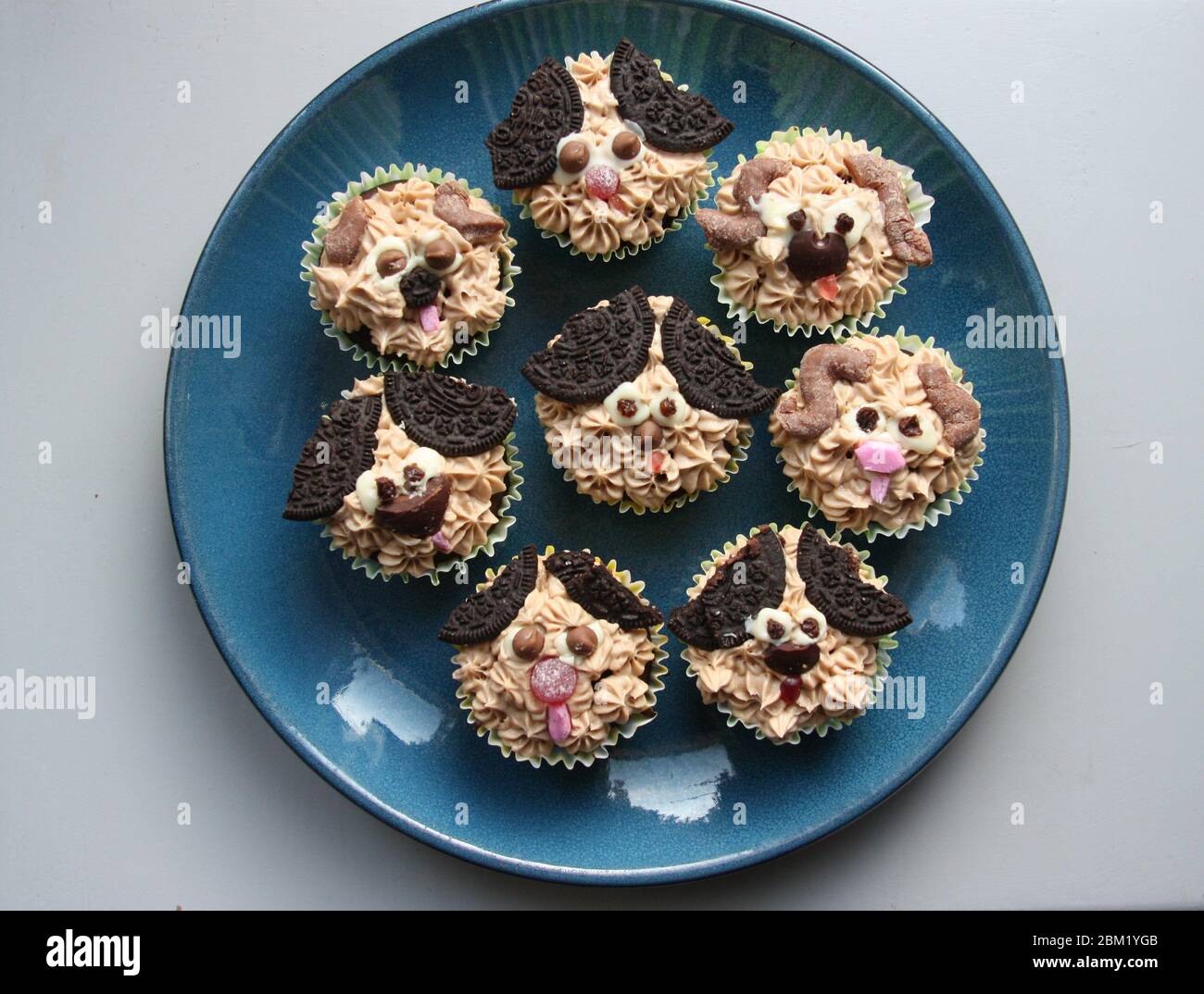 Cupolcakes decorati del viso del cane sparato dall'alto Foto Stock