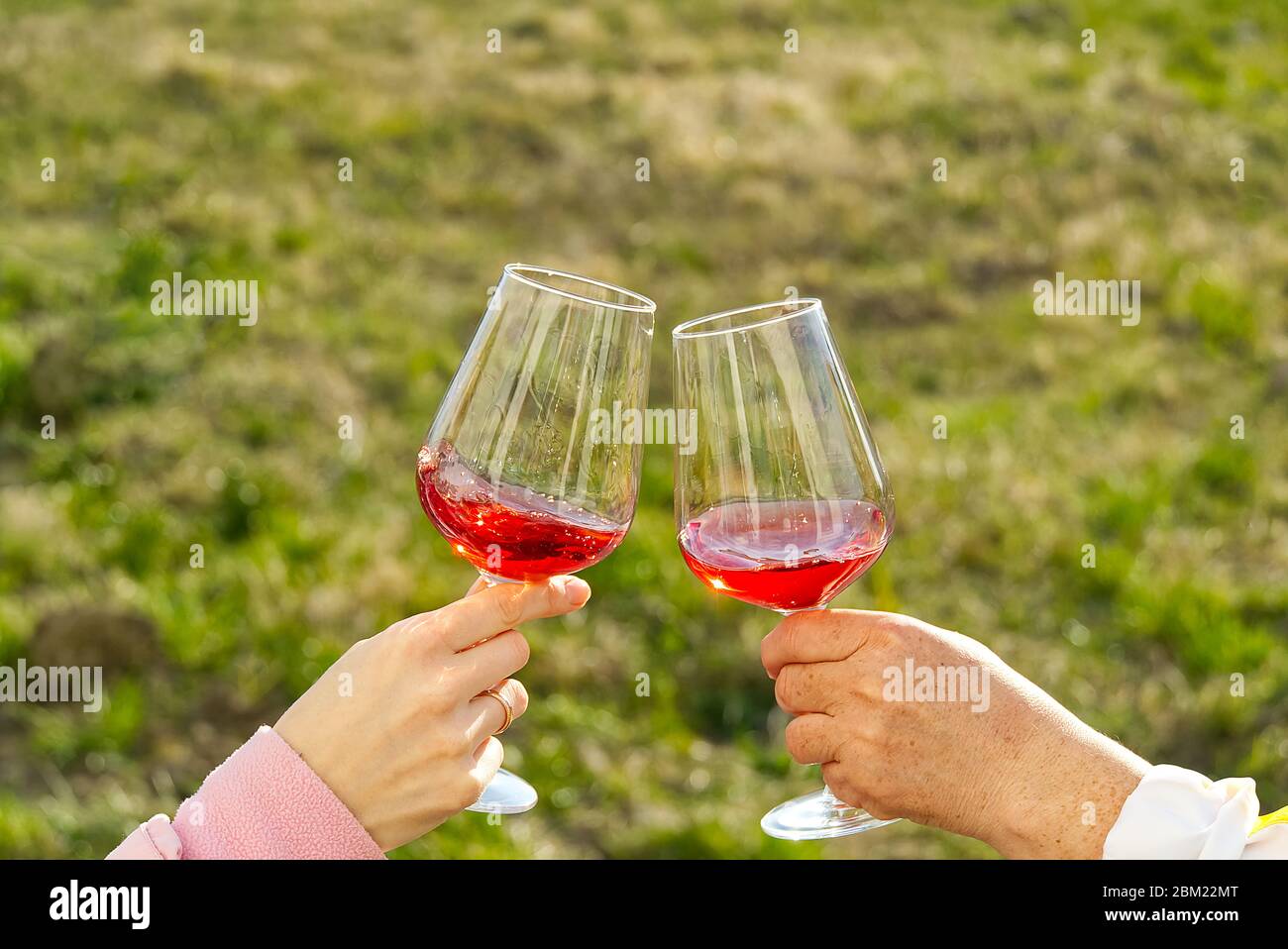 Clink con bicchieri di vino rosso all'esterno in giardino. Festa in giardino.  Due persone che si aggraffano i bicchieri con vino rosato Foto stock - Alamy