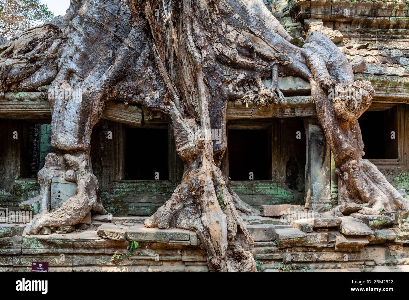 Tempio di Preah Khan, complesso del tempio di Angkor Wat, Siem Reap, Cambogia. Foto Stock