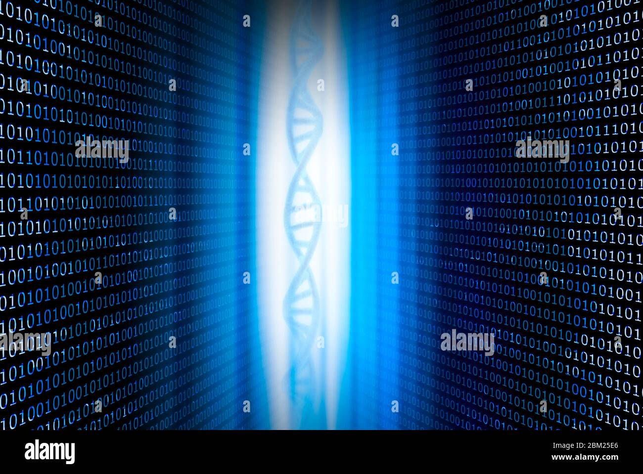DNA e numeri binari su sfondo blu Foto Stock