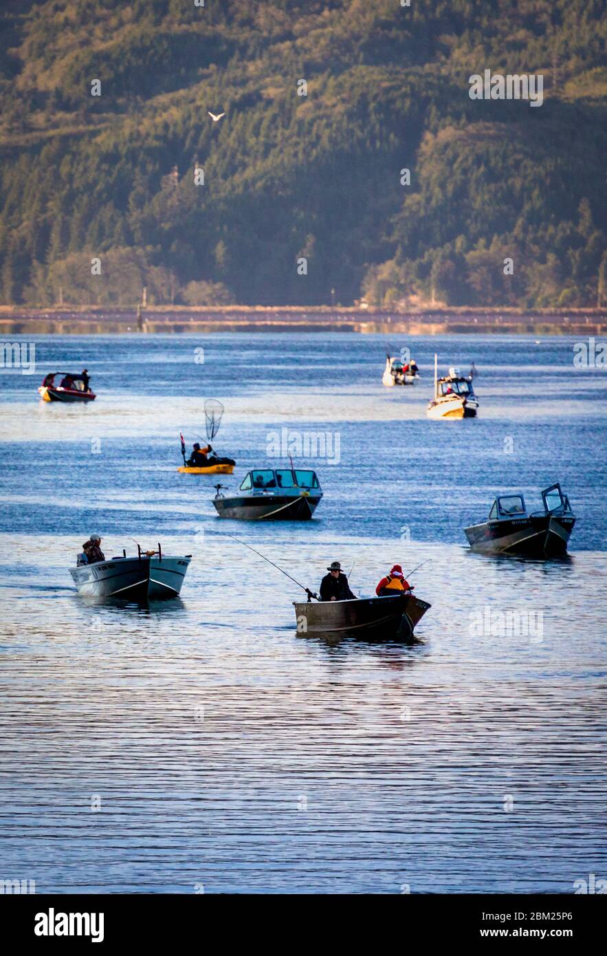 Pesce di pesce per salmone e testa di acciaio sulla costa dell'Oregon vicino Garibaldi, USA. Foto Stock