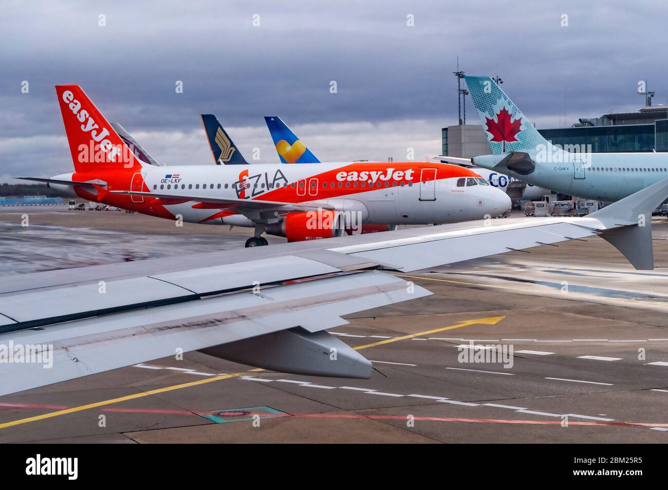 EasyJet (OE-LKF) sul grembiule dell'aeroporto di Francoforte di fronte ai jet Ryanair e Condor Foto Stock