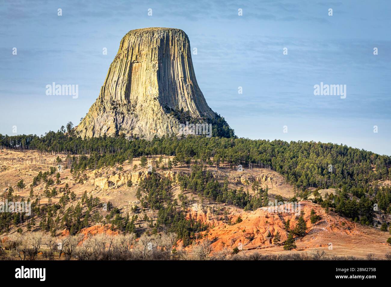 Devils Tower sorge a quasi 400 metri sopra le colline del Wyoming orientale, USA. Foto Stock