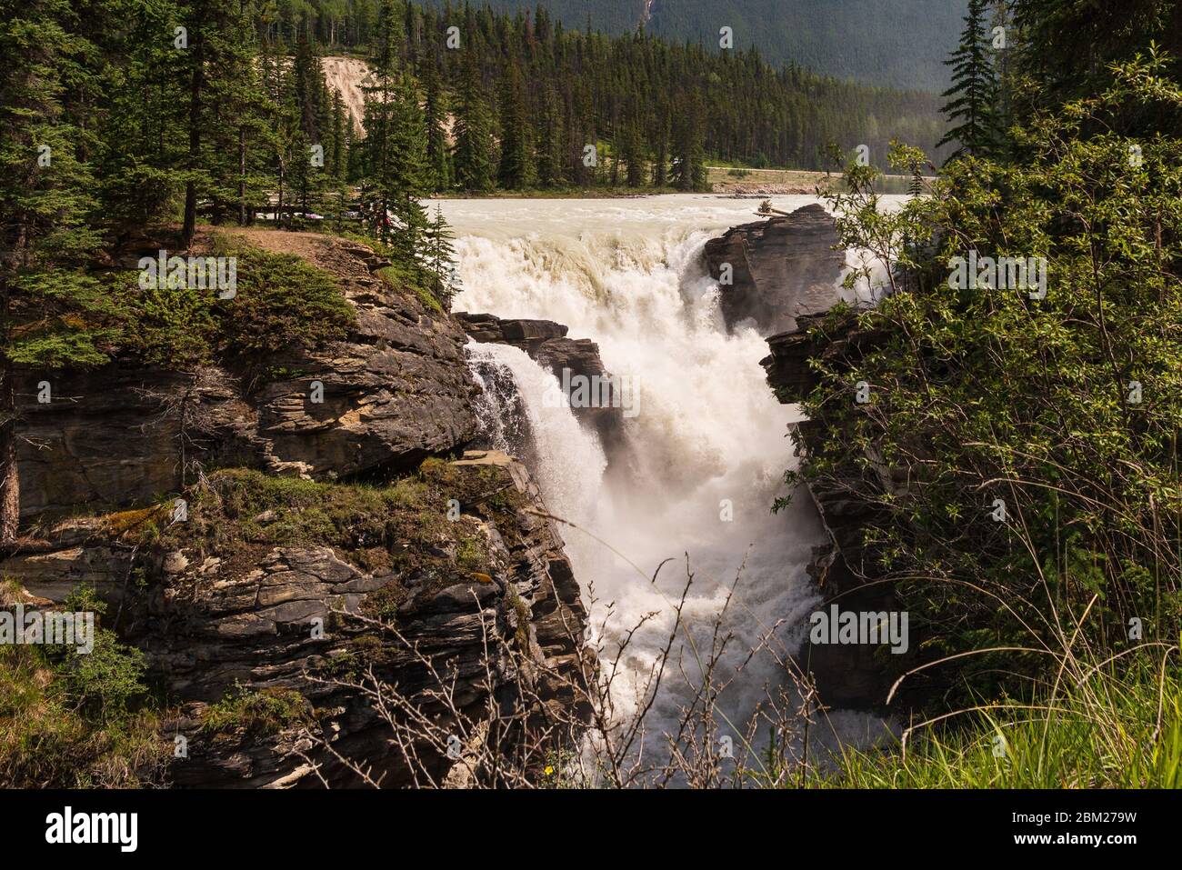 Vista delle cadute dell'Athabaska, Japer National Pak, Alberta, Canada Foto Stock