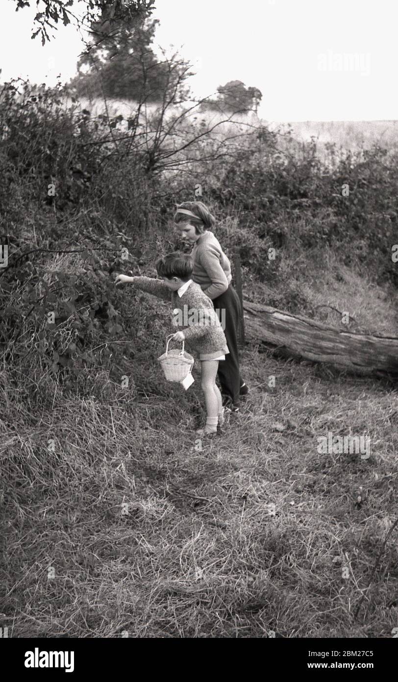 Anni '60, storico, fuori in campagna, in un hedgerow, due bambini piccoli  che raccolgono more, Inghilterra, Regno Unito, una tradizionale e  divertente attività estiva per i giovani di tutte le età Foto