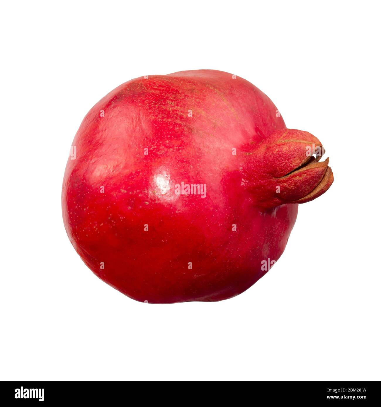 Melograno mature isolato. Un frutto intero di melograno isolato su sfondo bianco. Frutta fresca cruda con percorso di taglio. Profondità di campo completa. Lato Foto Stock