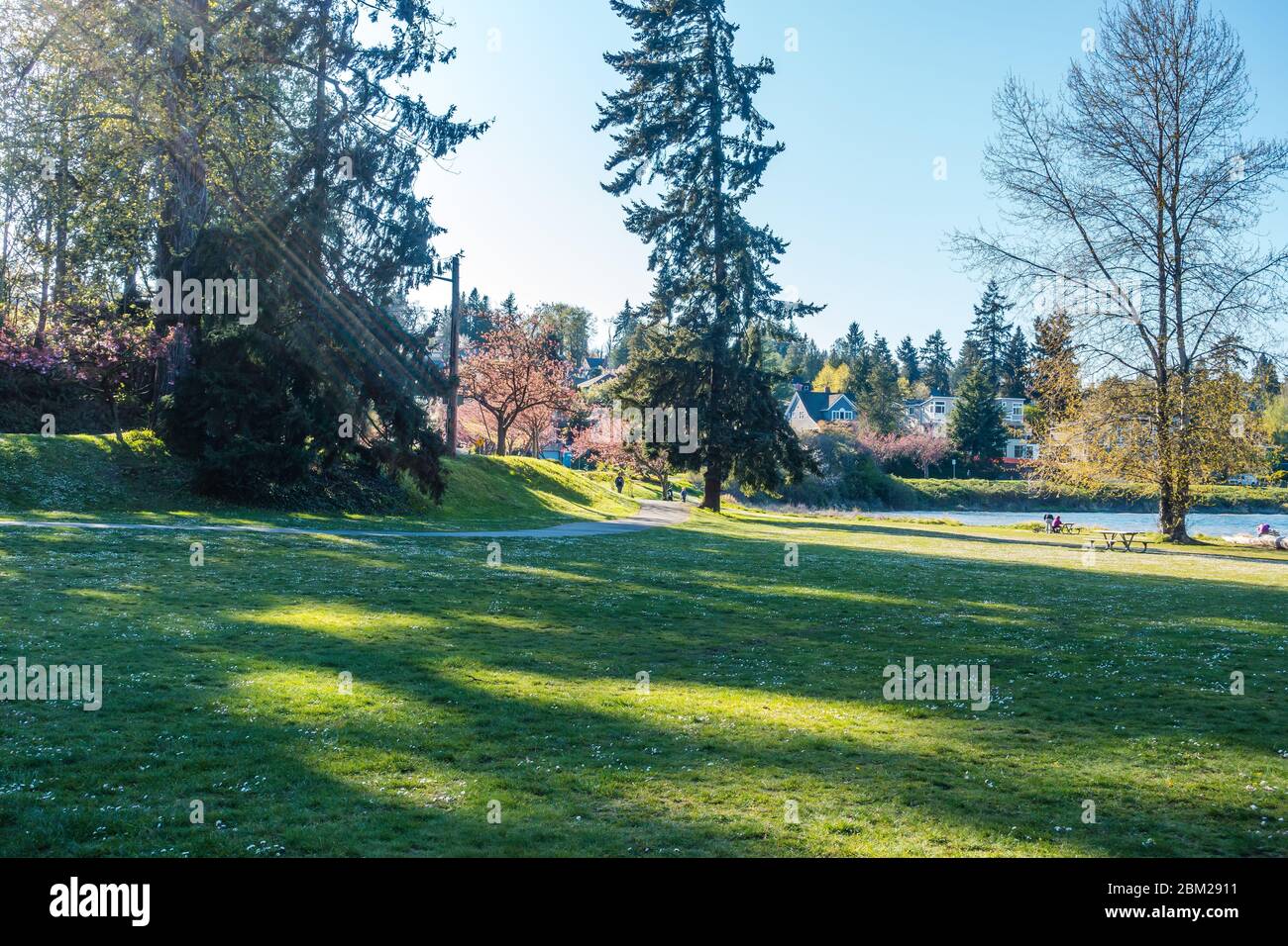 Una passerella al Seward Park di Seattle. È tempo di spintime. Foto Stock