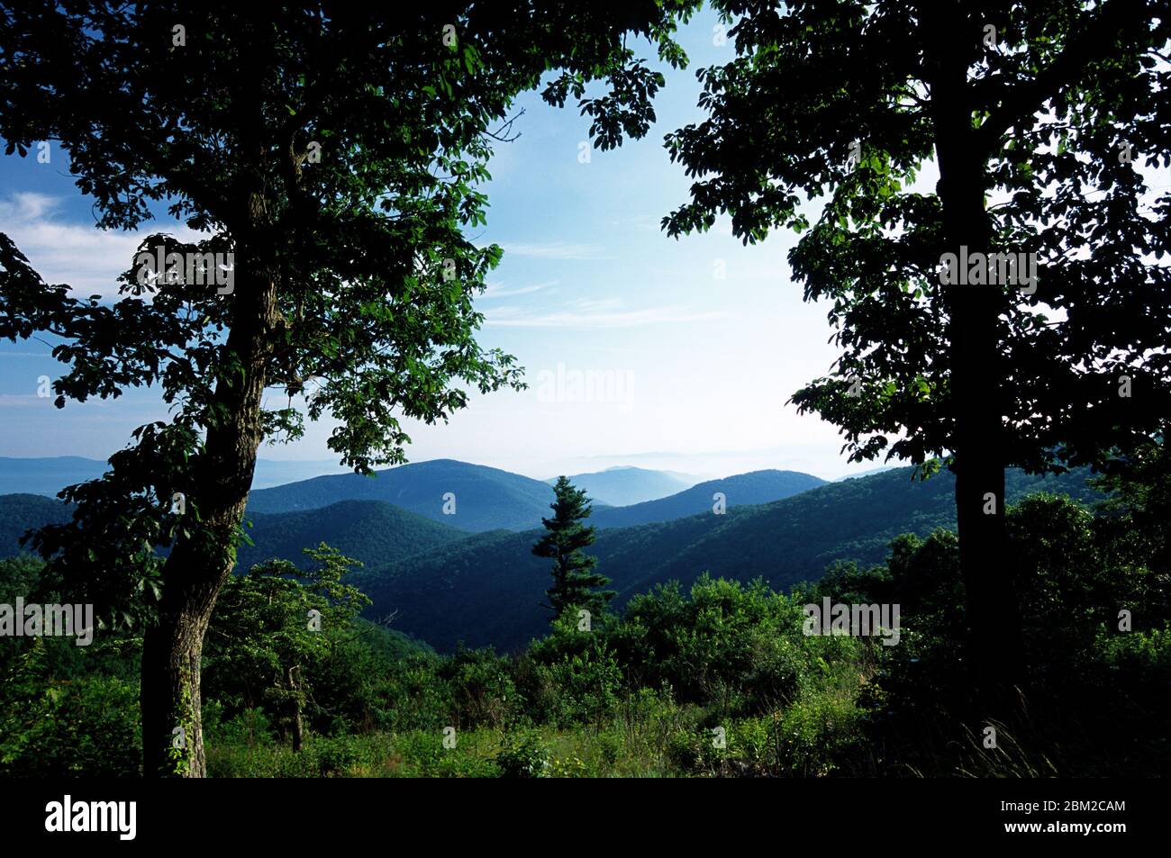 Brown Mountain Overlook, Parco Nazionale di Shenandoah, Virginia Foto Stock