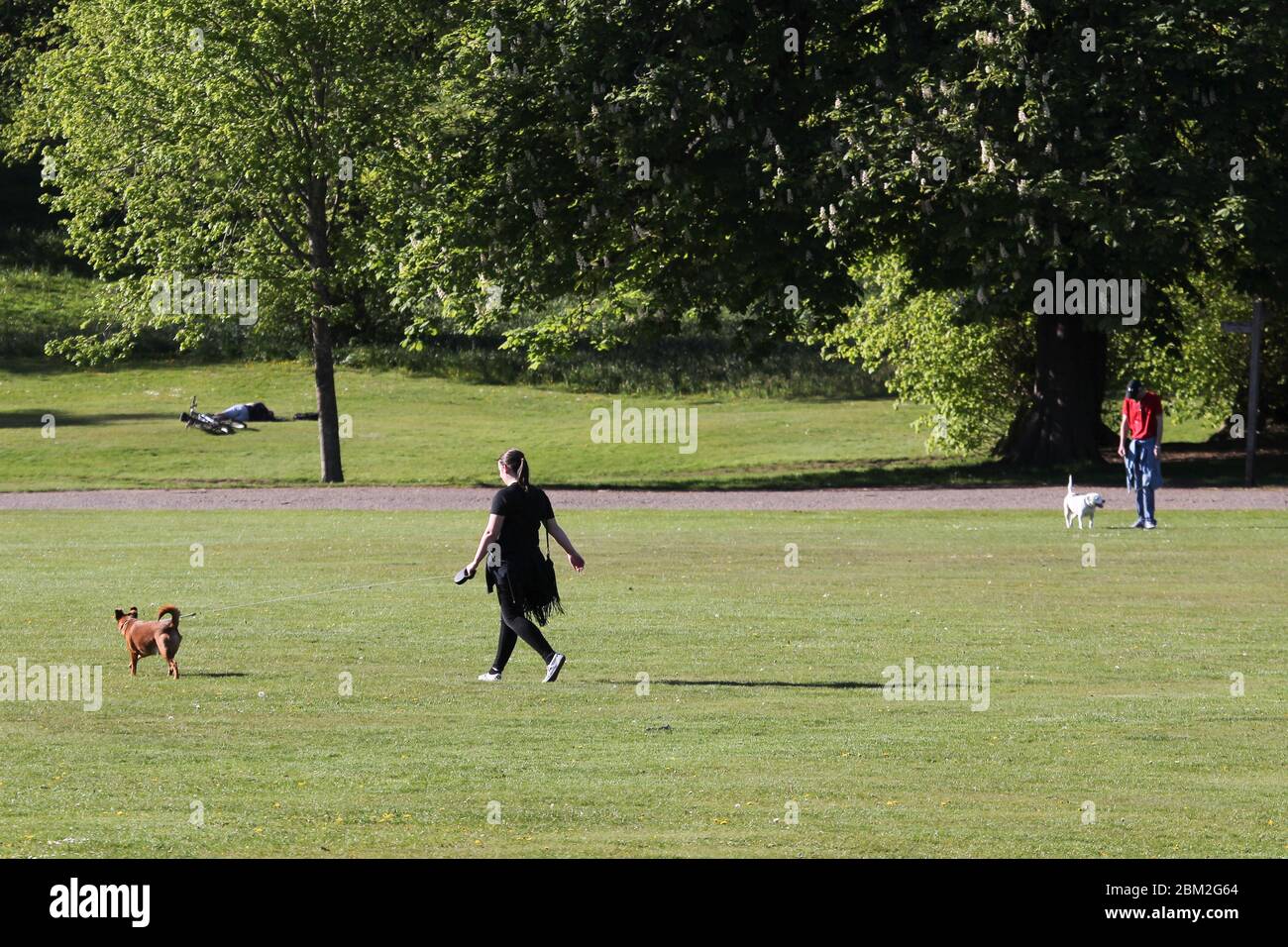 Falkirk, Regno Unito. 6 maggio 2020. Persone che si allenano al sole del pomeriggio al Callendar Park e alla Casa Falkirk. Il parco sarebbe normalmente molto occupato in condizioni atmosferiche come questa, ma la gente sta osservando le distanze sociali. Credit: ALAN OLIVER/Alamy Live News Foto Stock