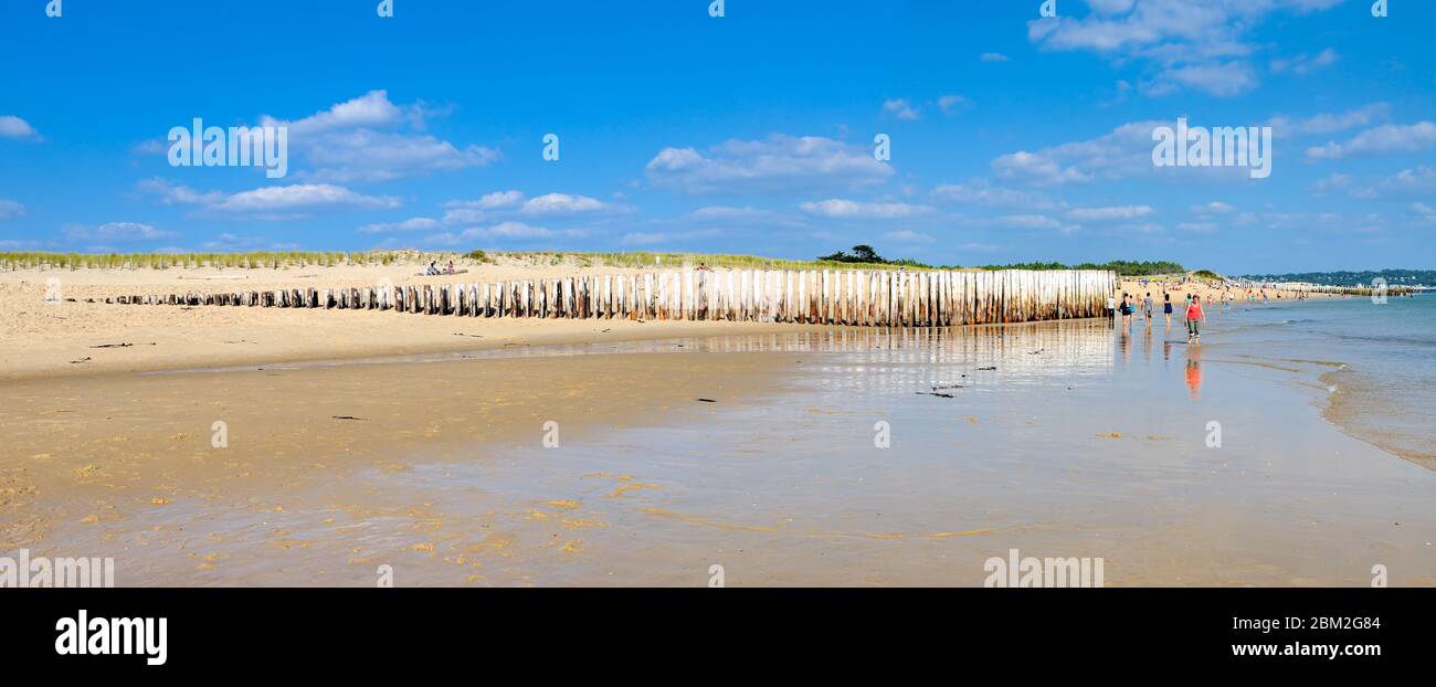 Cap Ferret/ Francia: Spiaggia con tronchi di legno che protegge le dune di Cap Ferret nella baia di Arcachon Foto Stock