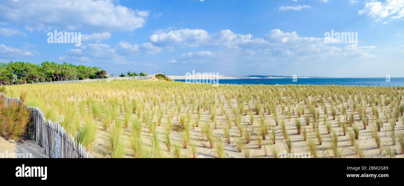 Cap Ferret, Francia: Vista panoramica della spiaggia con le vegetazioni Foto Stock