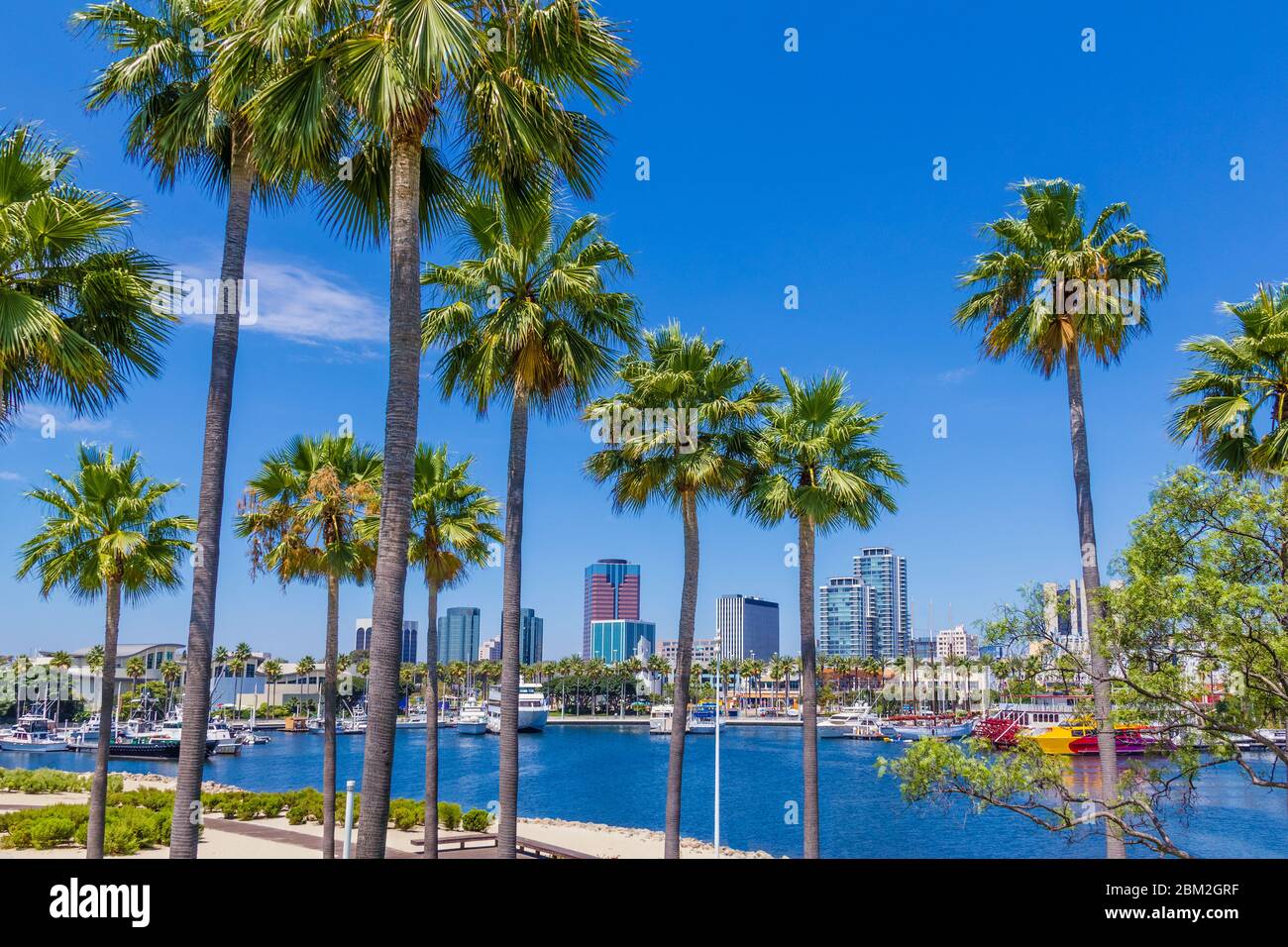 Rainbow Harbour si trova di fronte allo skyline di Long Beach in California. Palme e negozi circondano la costa del porto turistico pieno di barche. Foto Stock