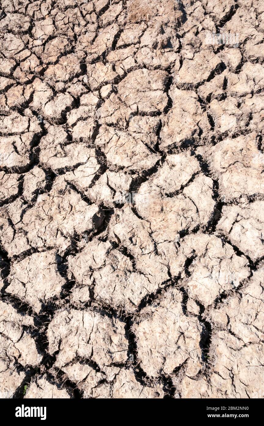 Terreno asciutto e fessurato durante le temperature calde della primavera 2020. Foto Stock