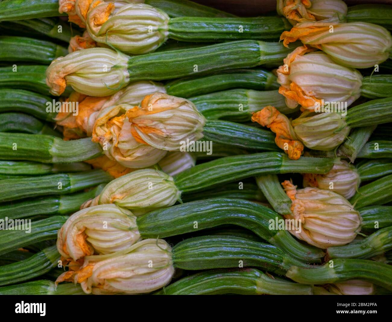 Cibi italiani. Zucchine con fiori. Mercato di strada. Roma Foto Stock
