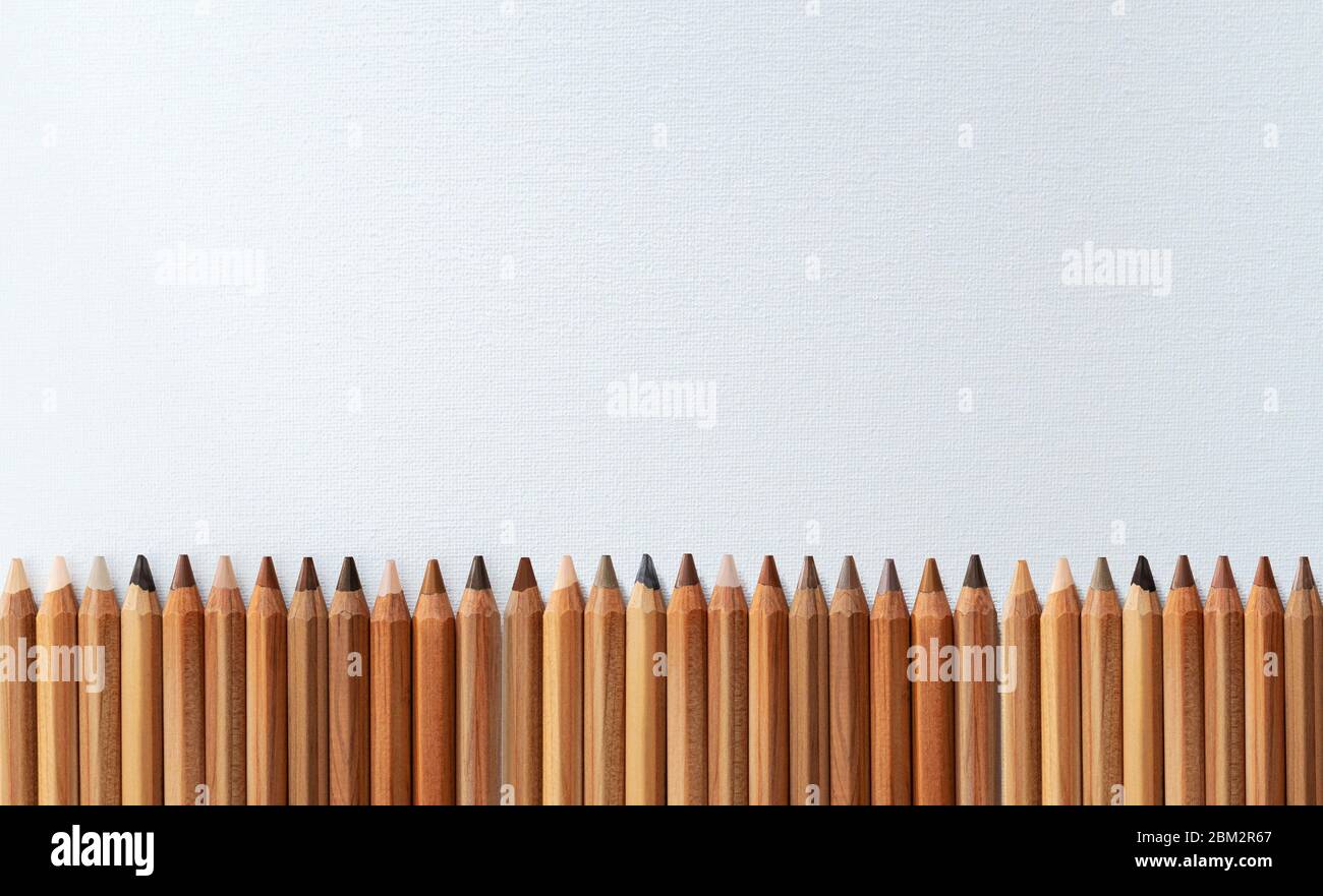 Molte matite di colore diverso della pelle allineate orizzontalmente su una tela bianca Foto Stock