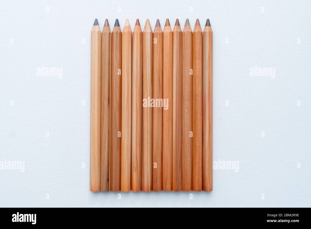 Vista dall'alto di dodici matite diverse di tonalità della pelle su sfondo bianco Foto Stock