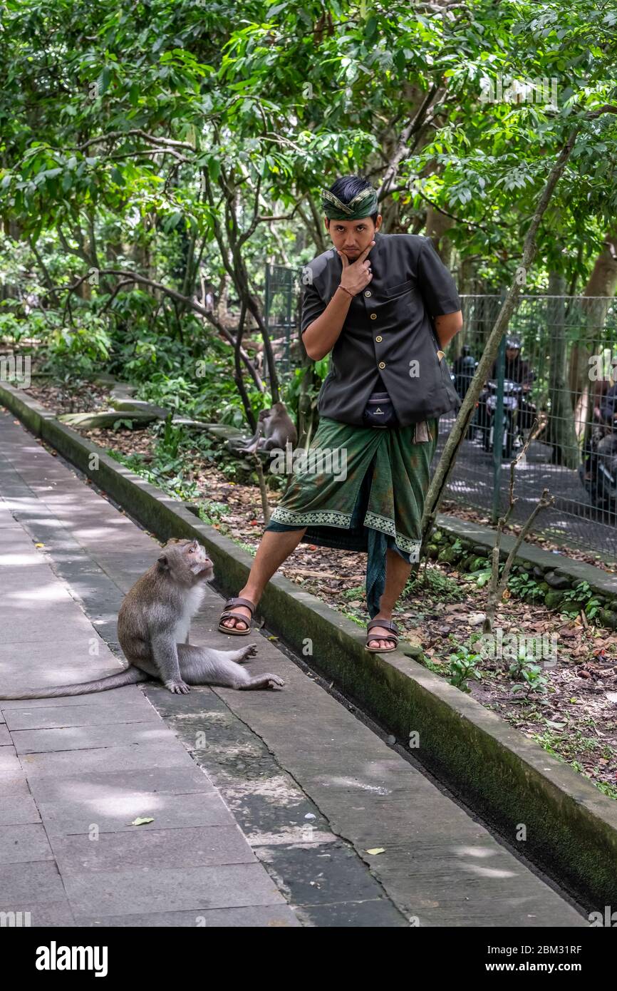Tempio del Santuario della Foresta delle scimmie Sacra, questo luogo più popolare nella provincia di Ubud, l'isola di Bali Foto Stock