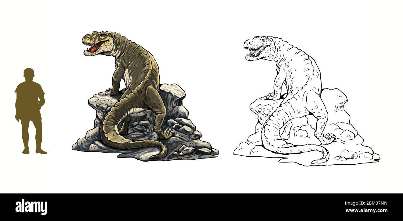 Postosuchus rispetto all'uomo. Confronto tra dinosauro e umano. Pagina Dino Coloring. Foto Stock