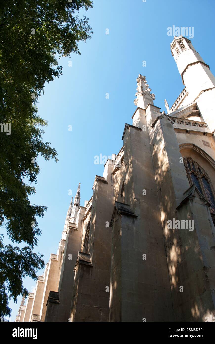 Architettura gotica Revival bagno religioso pietra dettaglio St Luke's & Christ Church, Sydney Street, Londra, SW3 6NH di James Savage Foto Stock