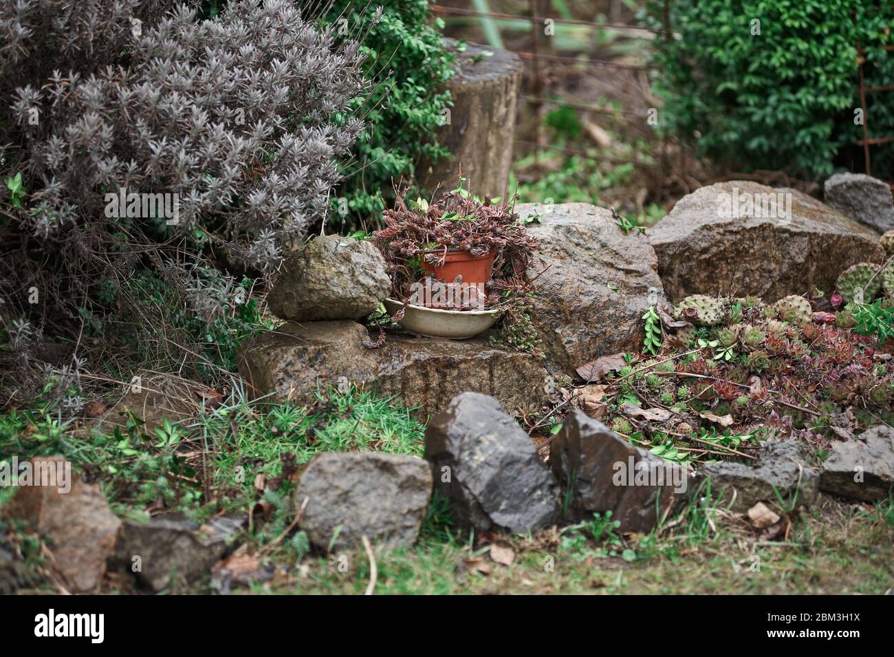 paesaggio di campagna design, disegno decorativo di un sito Foto Stock