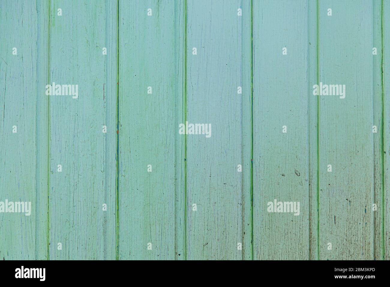 vecchio muro di legno verde chiaro dipinto di una casa giardino Foto Stock