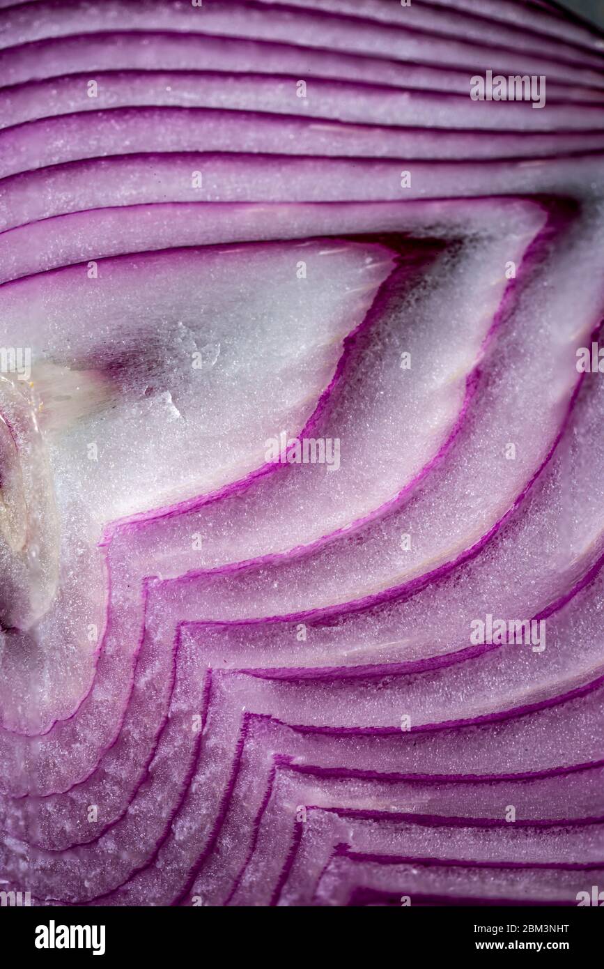Sezione trasversale di cipolla viola. Foto Stock