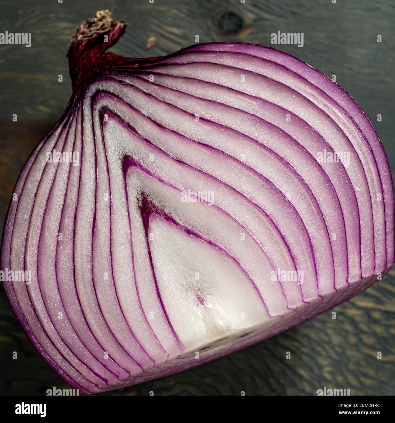 Sezione trasversale di cipolla viola. Foto Stock