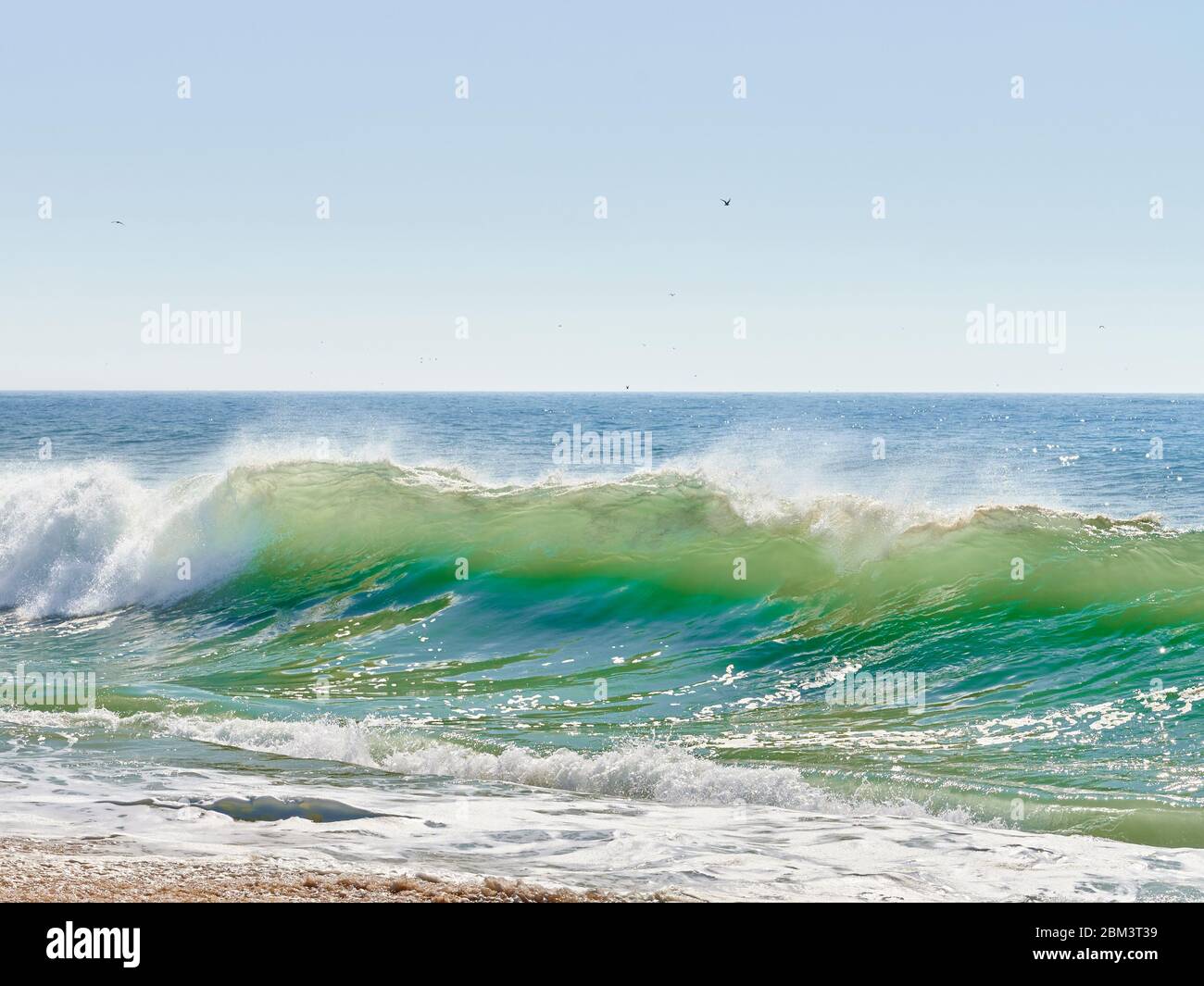 onde verdi dell'atlantico che si schiantano sulla spiaggia a nord della spiaggia, Nazaré Foto Stock