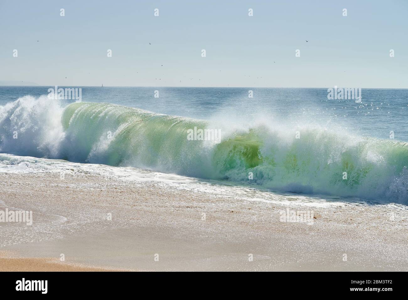 onde verdi dell'atlantico che si schiantano sulla spiaggia a nord della spiaggia, Nazaré Foto Stock