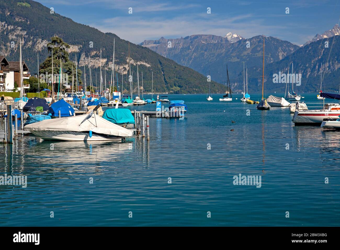 Marina a Spiez sul Lago Thun Foto Stock