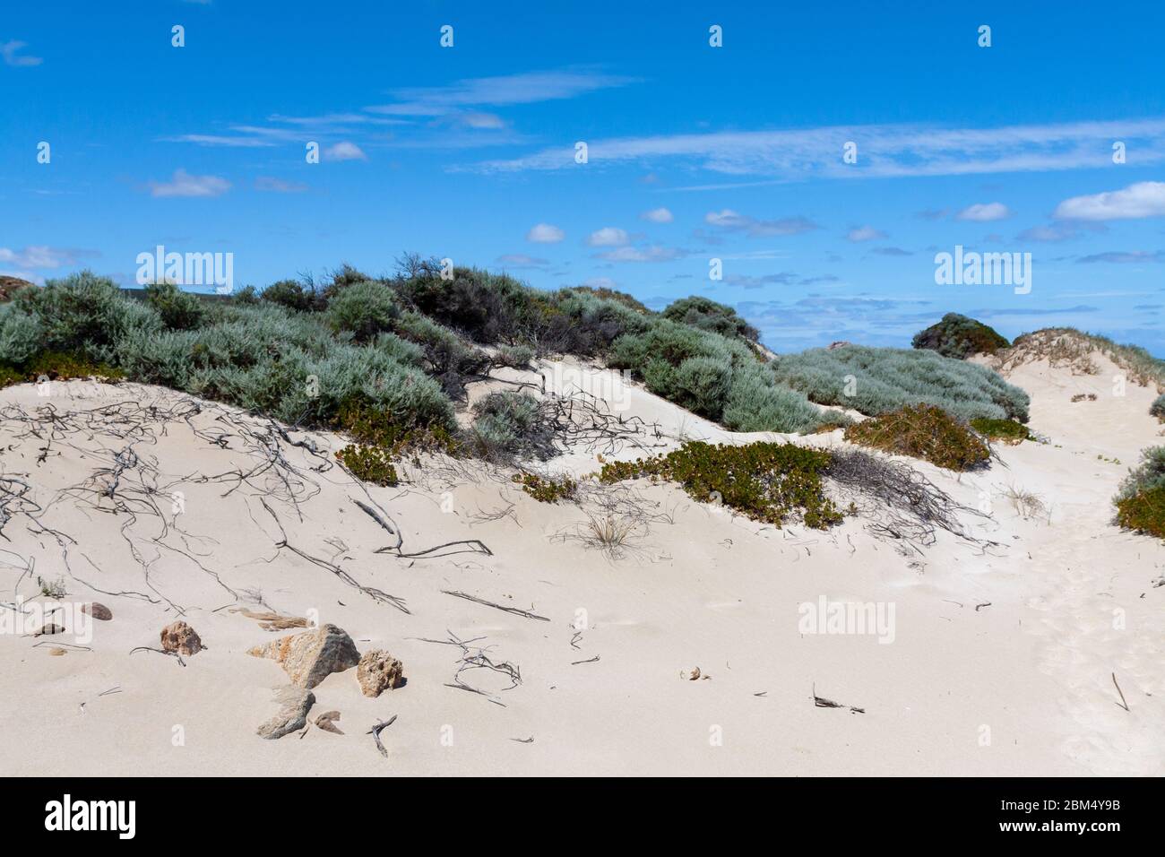 Dune di sabbia bianca sulla spiaggia dell'Australia Occidentale Foto Stock