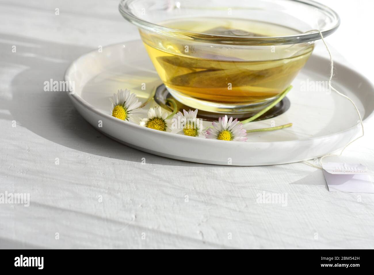 Tazza di tè camomilla con fiori di camomilla su superficie di legno bianco / tè sano alle erbe al tavolo di legno bianco / Closeup ancora vita fotografia alimentare Foto Stock