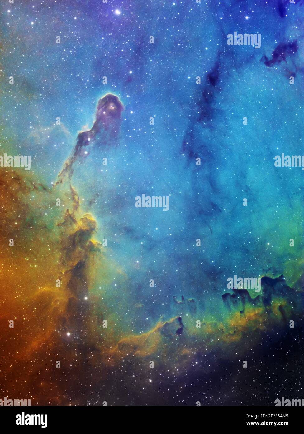 La Nebula della linea dell'Elefante è una concentrazione di gas interstellare e della regione di polvere IC 1396 situata nella costellazione di Cefeo, a 2400 anni luce di distanza Foto Stock