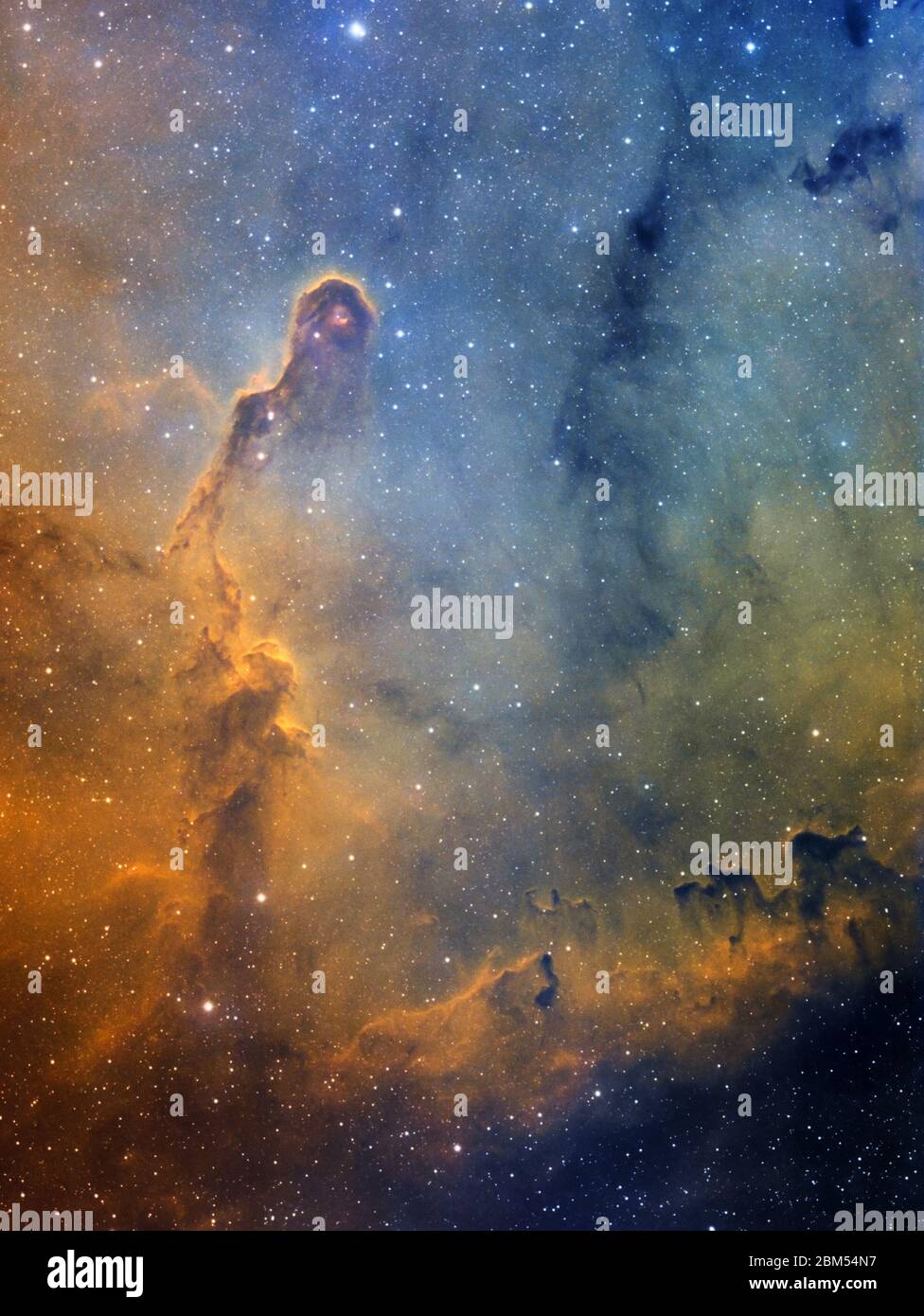 La Nebula della linea dell'Elefante è una concentrazione di gas interstellare e della regione di polvere IC 1396 situata nella costellazione di Cefeo, a 2400 anni luce di distanza Foto Stock