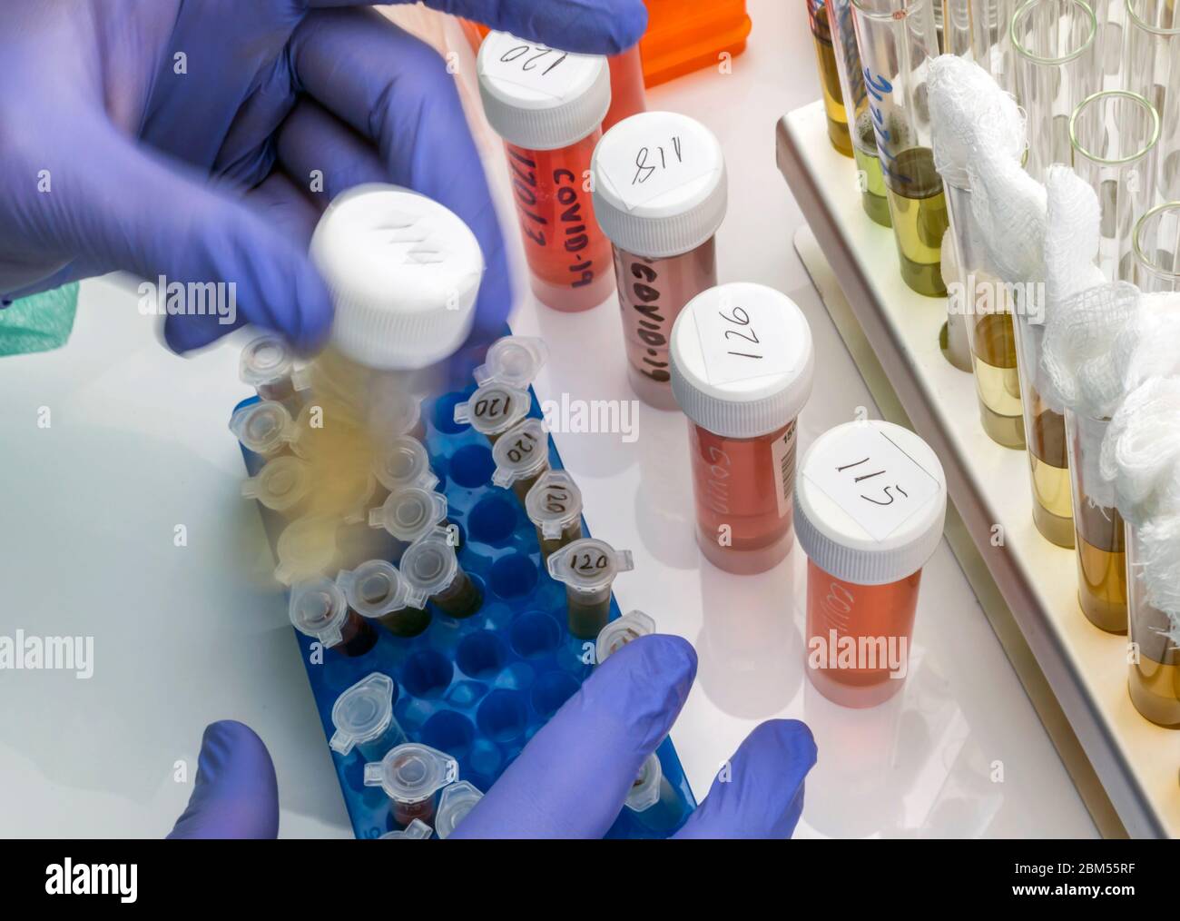 Lo scienziato scuote il flaconcino miscelando il farmaco Coronavirus covid-19 vaccino sperimentale in un laboratorio, immagine concettuale Foto Stock