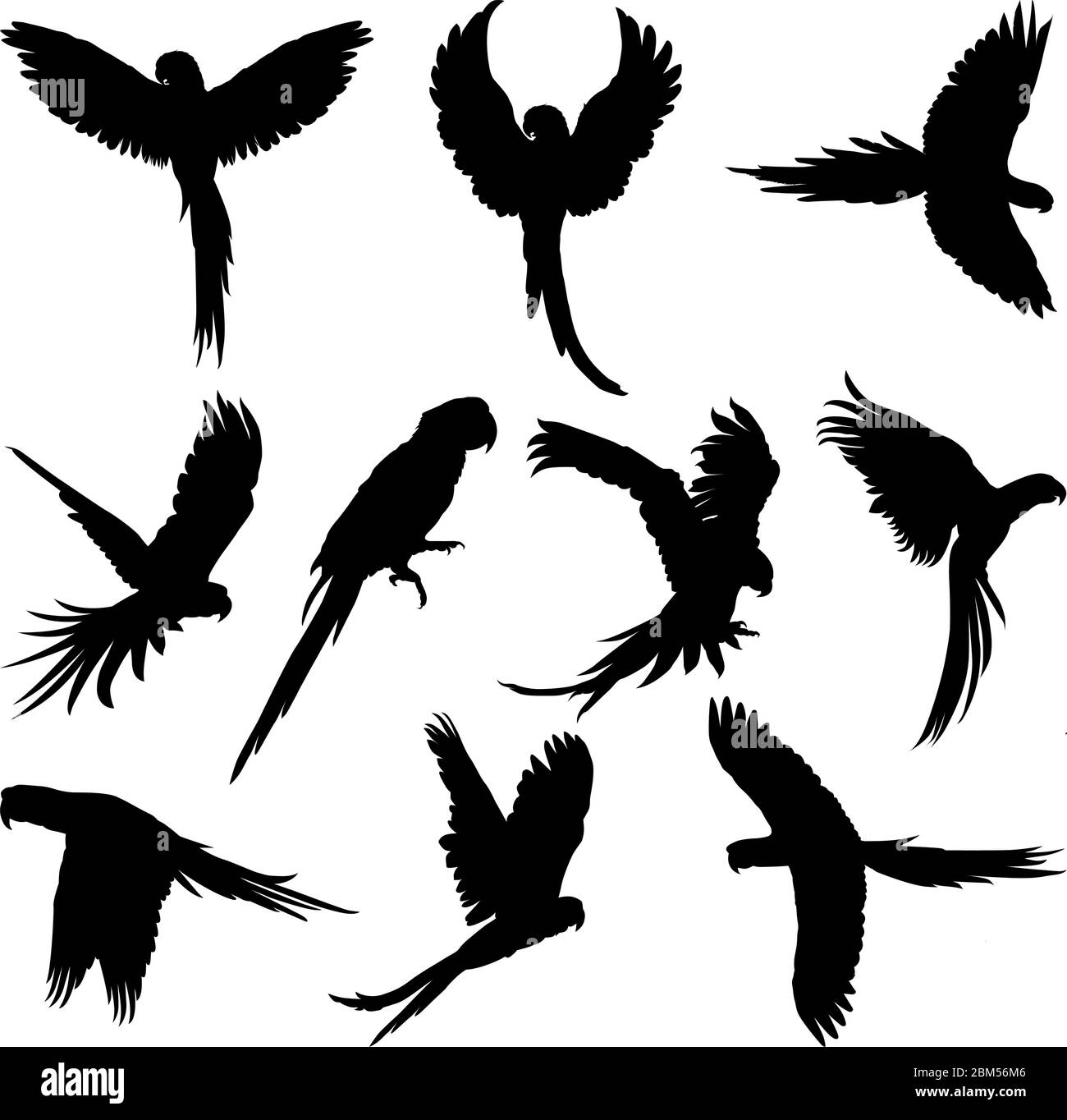 set di silhouette di pappagallo Illustrazione Vettoriale