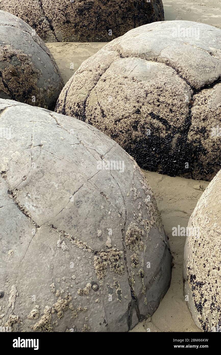 Moeraki Boulders, Nuova Zelanda Foto Stock