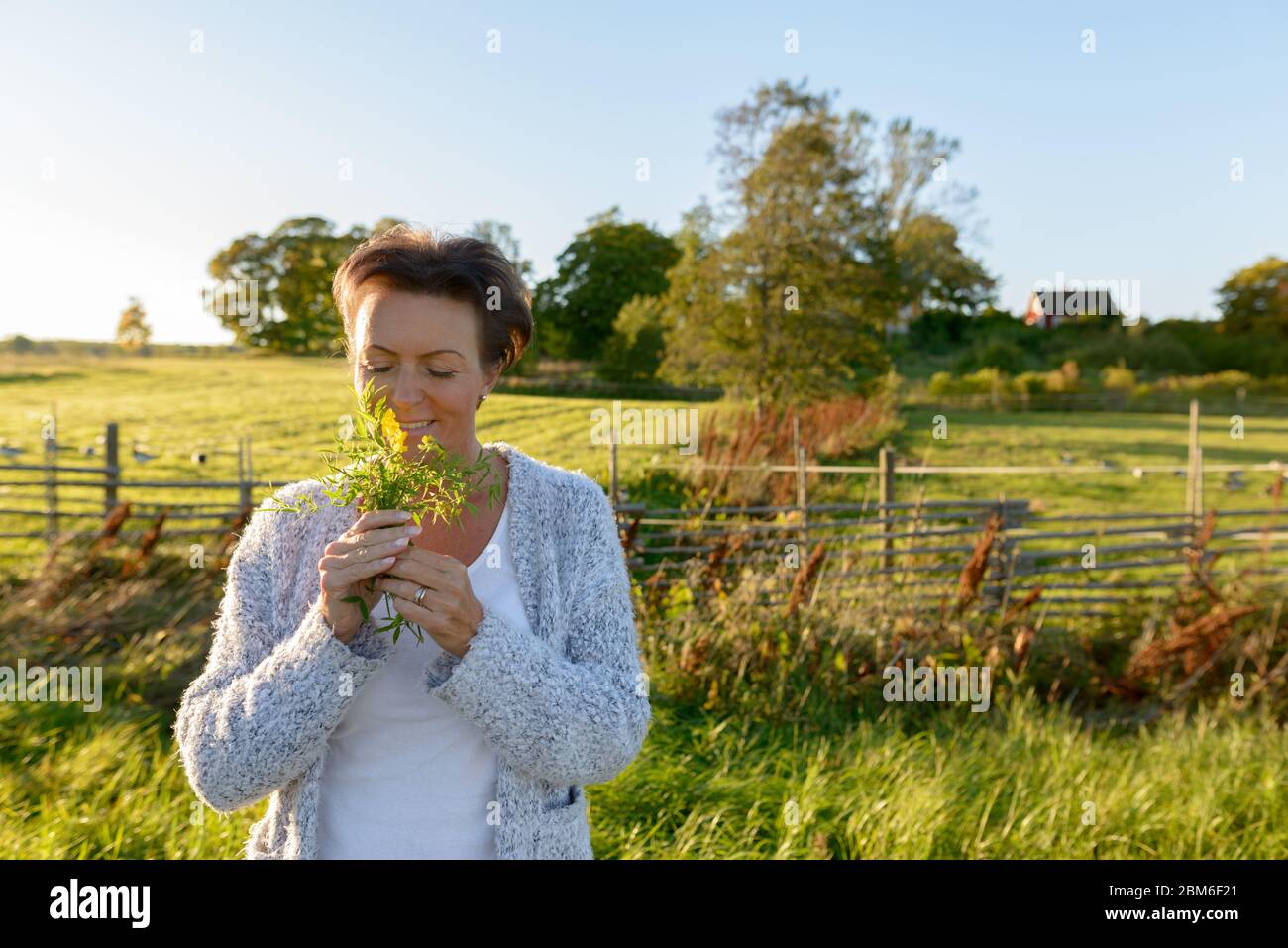 Felice donna matura bella che odora fiori in tranquilla pianura erbosa con la natura Foto Stock