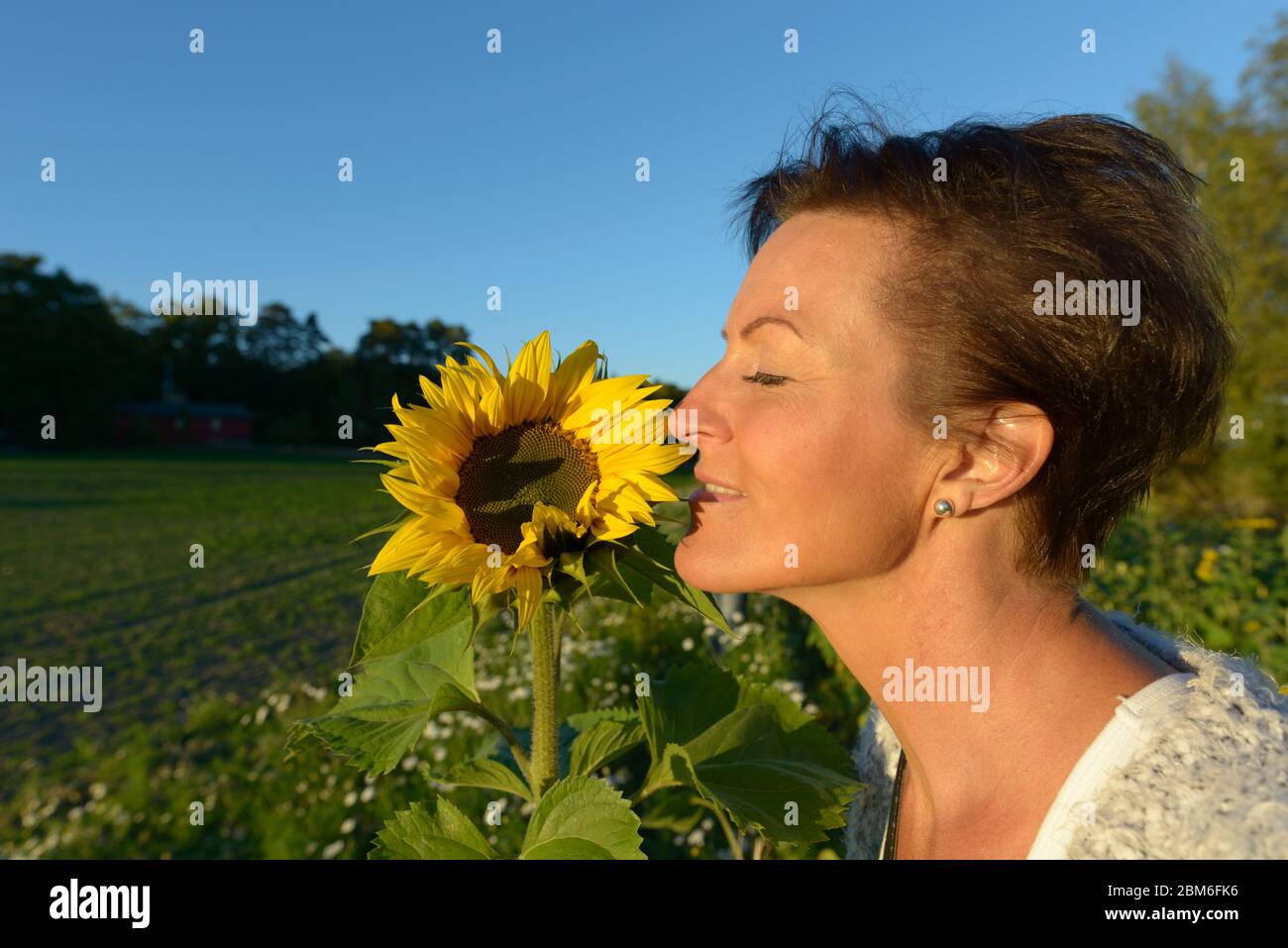 Profilo di felice matura bella donna che odora girasole in natura Foto Stock